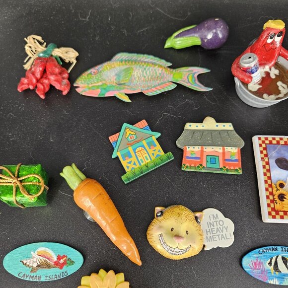 Lot 34 Refrigerator Magnets Hawaii Disney Cayman Islands Food Fruit Vegetable Ki - Picture 2 of 11